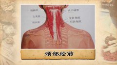 20110412Ƶ:ٶ̸