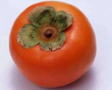 柿子预防甲状腺肿大图片