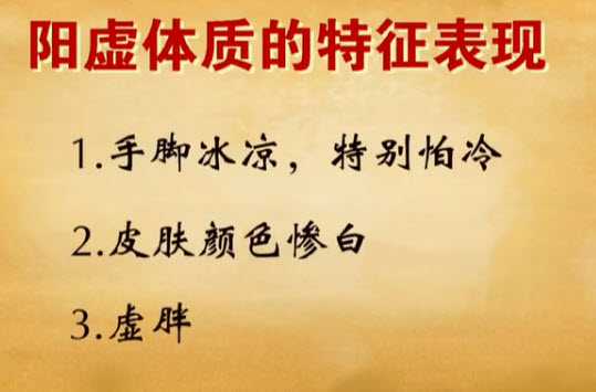 阳虚体质的特征