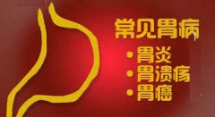 20121204健康之路视频和笔记:刘玉村讲胃病,胃镜,消化,谨防胃自杀