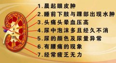 20121215养生堂视频和笔记:刘文虎讲肾病的早发现和预防,肾养1