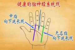 20130112天天养生视频和笔记:鲁京硕讲老年痴呆的手诊手疗,手指操