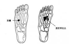 脚部反射区4：胆囊反射区,腹腔神经丛反射区,肾上腺反射区