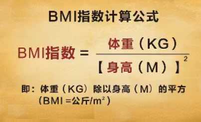 体重指数BMI
