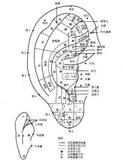 按摩处方5-手穴:心,肾区.