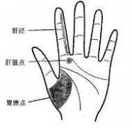 肝炎的手部按摩穴位图图片