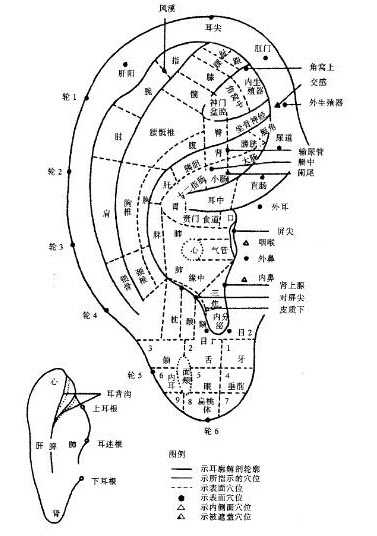 耳穴