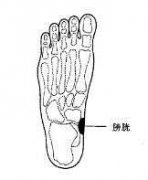 膀胱炎的足部按摩穴位图图片