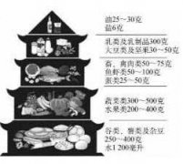 中国居民膳食指南平衡膳食宝典