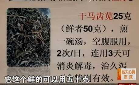 马齿苋汤