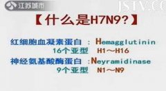 <b>20130407ҵƻƵͱʼ:,̕Ԥ,H7N9</b>