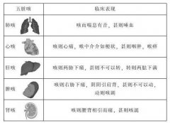 黄帝内经中五脏咳的辨证分类及其表现