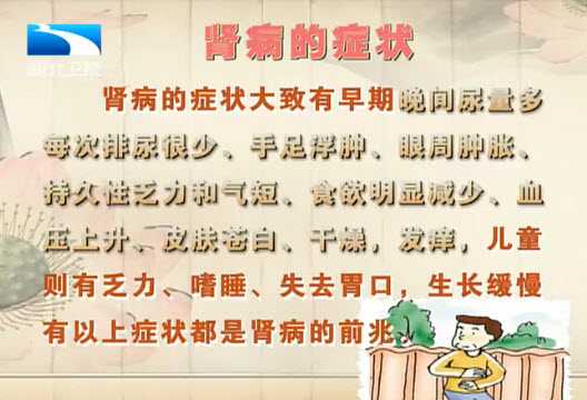 肾病的症状有哪些图片
