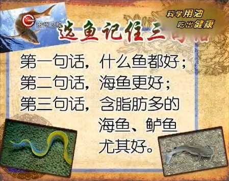 20130614贵州卫视养生视频和笔记:戴光强讲如何健康吃油和吃鱼