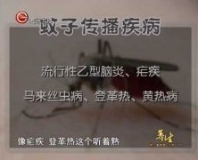 20130705贵州卫视养生视频和笔记:刘钊讲预防蚊子叮咬的方法