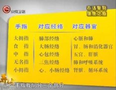 20130822贵州卫视养生视频和笔记:王凤岐,吴大真讲手指,三餐养生