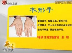 20130911贵州卫视养生视频和笔记：高振宗讲从手的形状看健康