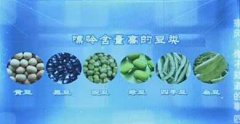 <b>20131025֮·Ƶͱʼ:ΰʳʹ综߾Ͱȫ</b>