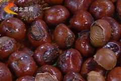 <b>20131105ŮƵͱʼ:Сϼ,Ǩ,հײ</b>