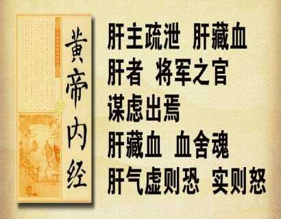 寿亲养老新书