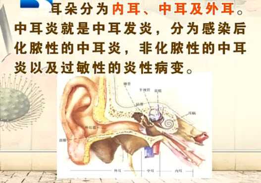 中耳炎的分类图片