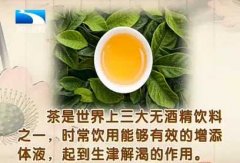 20131126饮食养生汇视频和笔记:王凤岐讲茶叶,解酒药,隔夜茶,茶醉