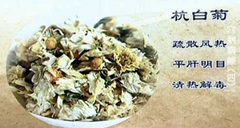 杭白菊