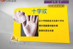 20140226贵州卫视养生视频和笔记：高振宗讲看手掌掌纹看健康