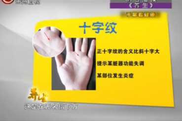 十字纹