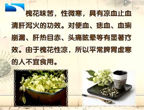 槐花介绍