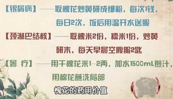 槐花的药用价值