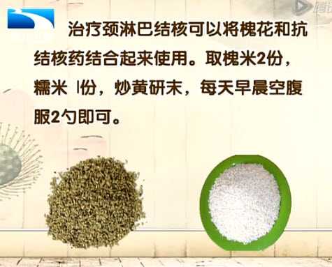 槐花治疗颈淋巴结核