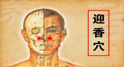 迎香穴、百会穴、风池穴