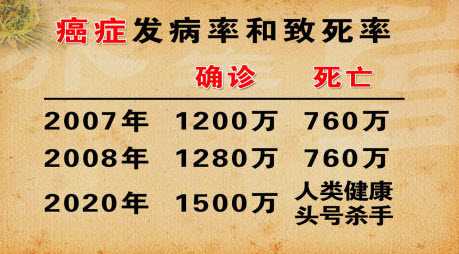 癌症的发病率与致死率