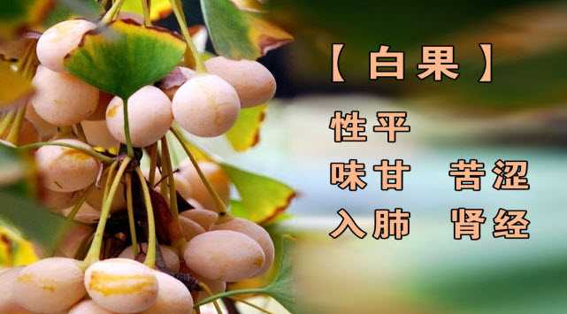 白果