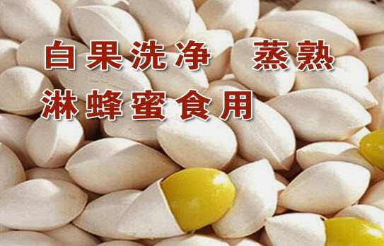 白果