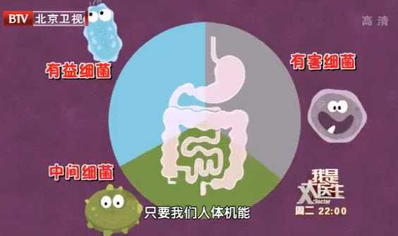 双歧杆菌