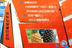 20140415家政女皇视频和笔记:张晔讲菠萝,五羟色胺,三色菠萝