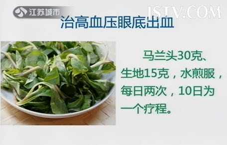 马兰头