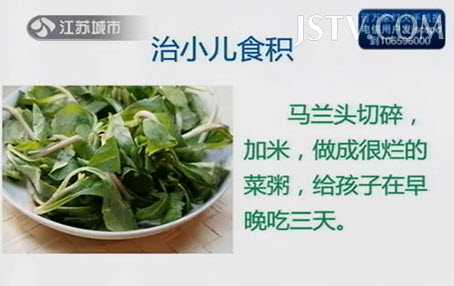 马兰头