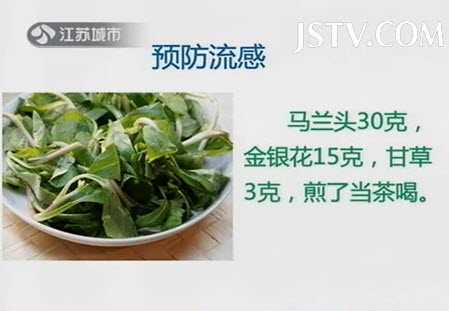马兰头