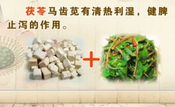 马齿苋的功效