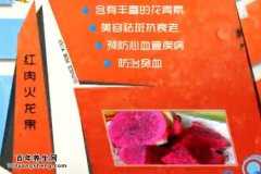 20140522ŮƵͱʼ:潲Ӫ,Ϻ