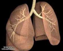 肺热的健康自测和健康评估