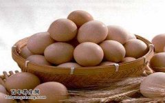 新鲜土鸡蛋的特征,范志红讲如何挑选鸡蛋,糖尿病人怎么吃鸡蛋图片