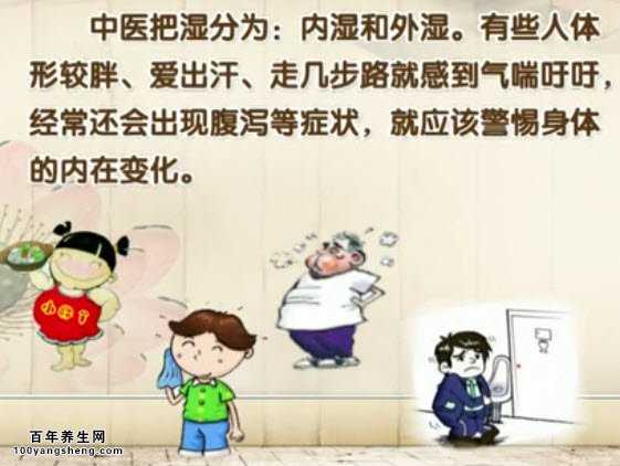 中医湿的类型