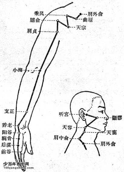 手太阳小肠经穴常用穴位