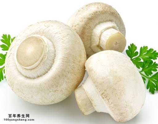 口蘑富含硒，能保护肝脏，是抗癌的蘑菇