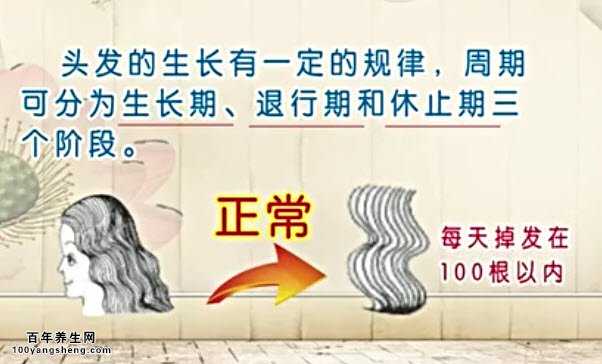 每天掉发在100根以内都属于生理性脱发