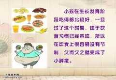 20140807饮食养生汇视频和笔记:陈英讲小儿肥胖症,肥胖的危害